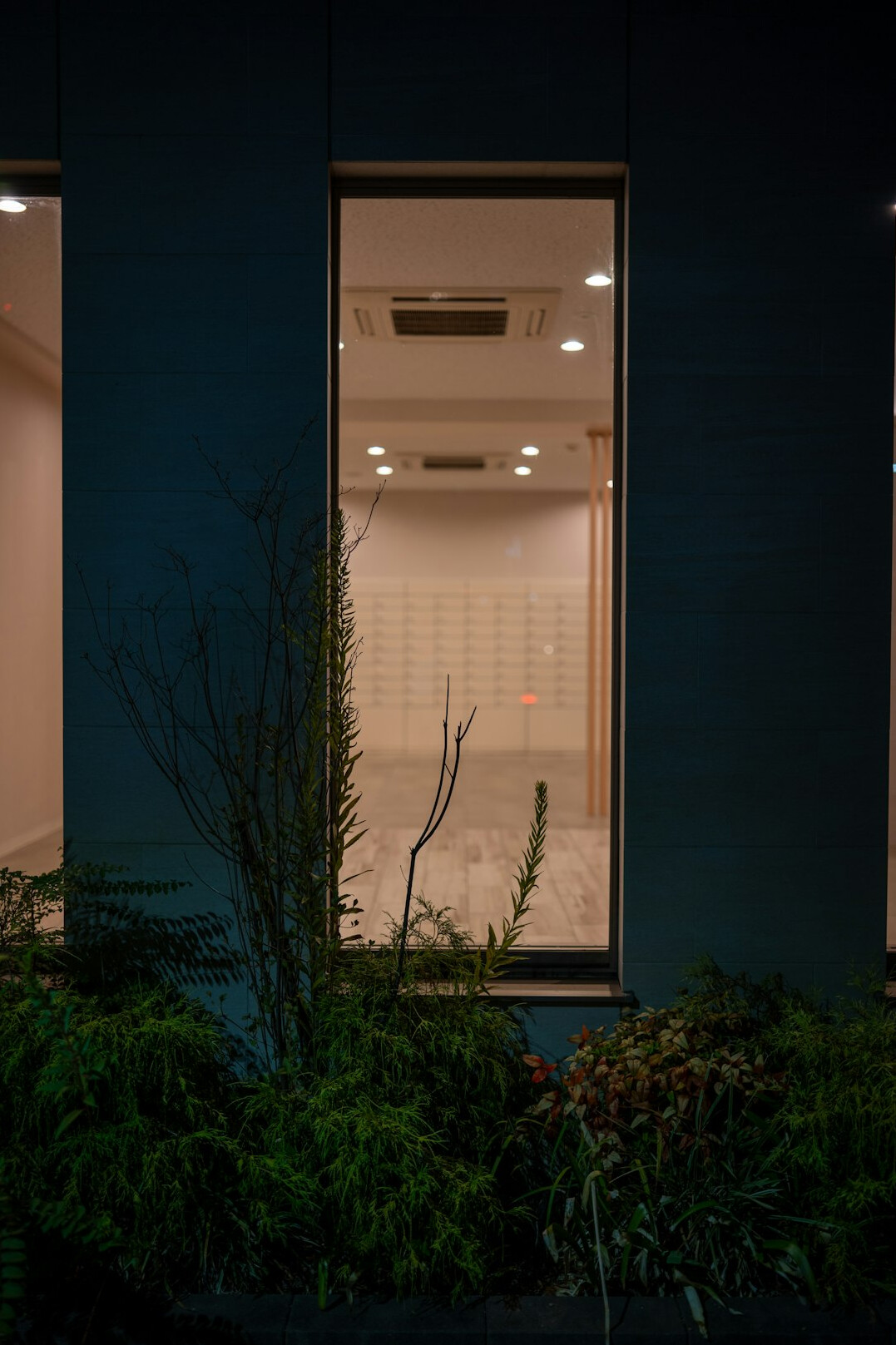 modern retail store exterior