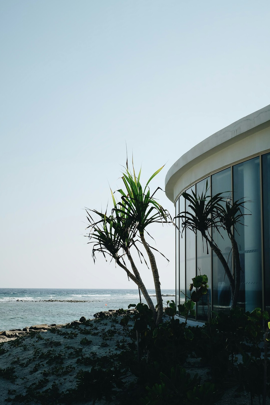 Modern minimalist beach house with large glass windows overlooking the ocean